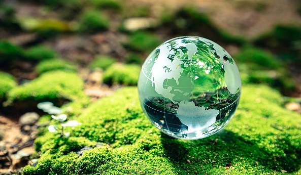Día Mundial del Medio Ambiente llama a la acción climática