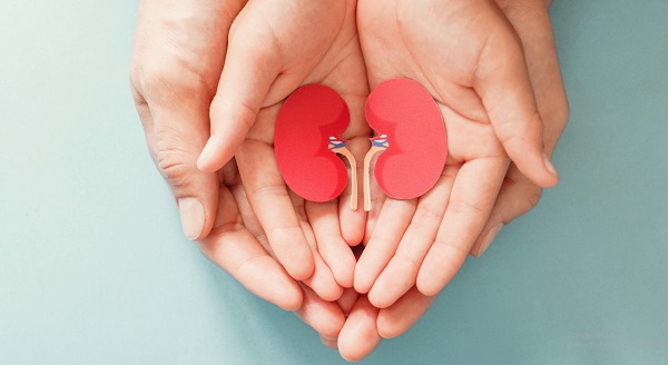 Donación de órganos: 336 pacientes siguen en espera
