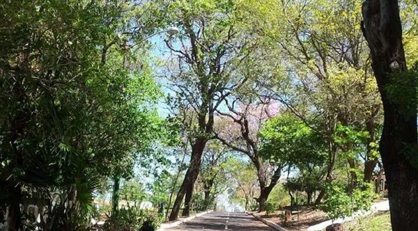 ¿Cuánto se debe invertir en infraestructura verde en Asunción?