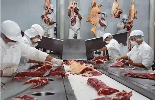 Senado debate propuesta para regular precios de la carne