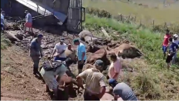 Accidente de camión termina en faena masiva