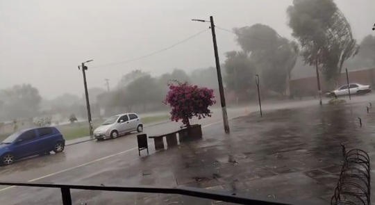 Temporal dejó cortes de luz y caída de árboles en Pilar