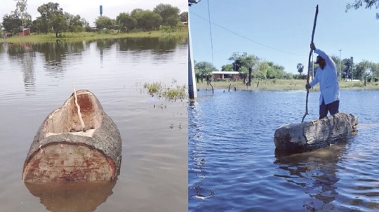 Indígenas usan tronco de samu’u para cruzar inundaciones