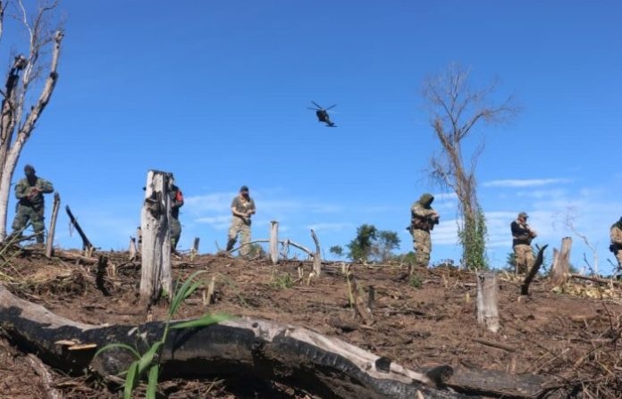 Reforestarán áreas afectadas por marihuana