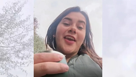Paraguaya es expulsada de bus en Chile por confusión con mate