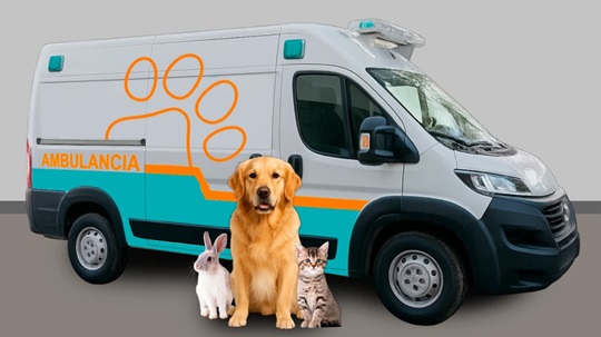 Impulsan campaña por una ambulancia para animales
