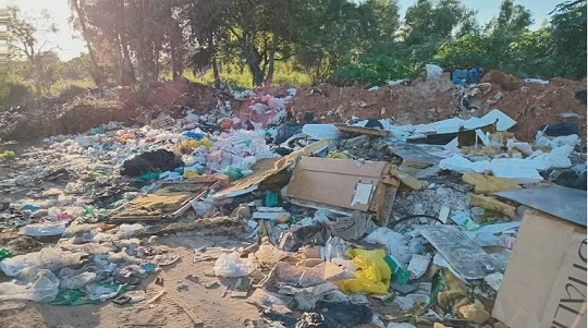 Asunción admite fallas en recolección de basura y propone ley sancionatoria