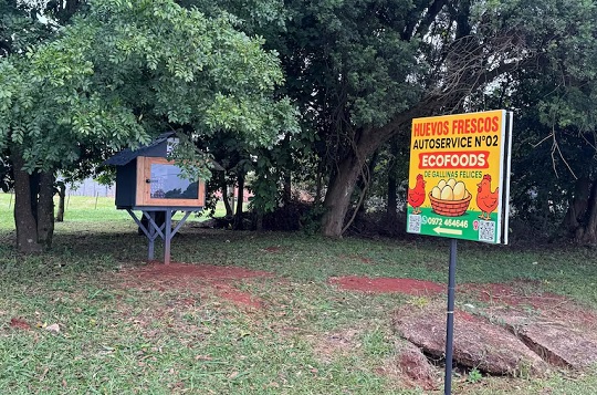 Venden huevos gracias a la honestidad de la gente en J. Eulogio Estigarribia