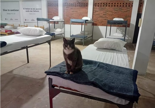 Asunción habilita albergue gratuito para personas vulnerables durante el frío
