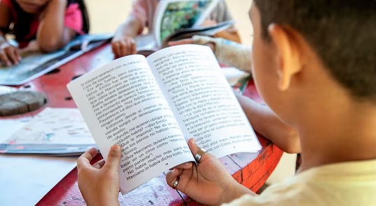 Estudiantes leen apenas dos libros al año, según el MEC