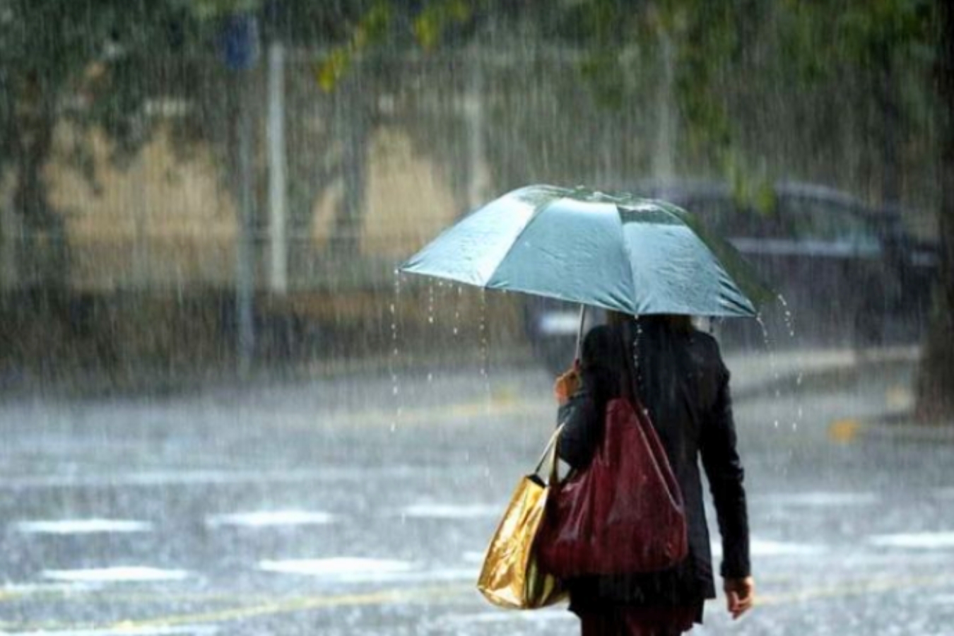 Domingo con lluvias y tormentas en gran parte del país