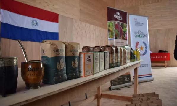 Yerba mate paraguaya ecológica llegará a 30 países de Europa