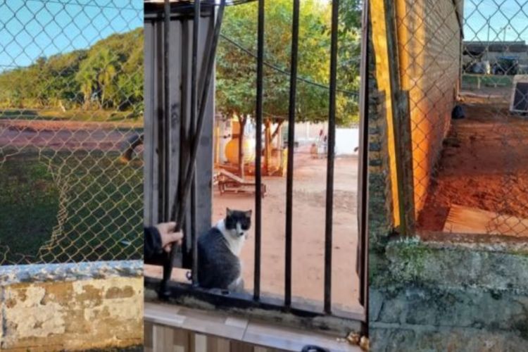 Alarma por fuga de dos reos de alta peligrosidad en Misiones