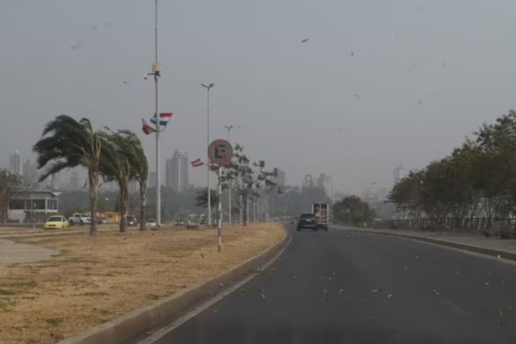 Meteorología alerta por ráfagas de más de 80 km/h