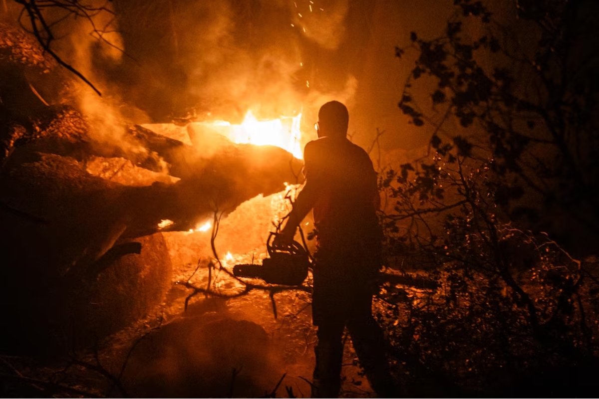 Incendios forestales en España: más de 106.000 evacuados y 152.678 hectáreas arrasadas
