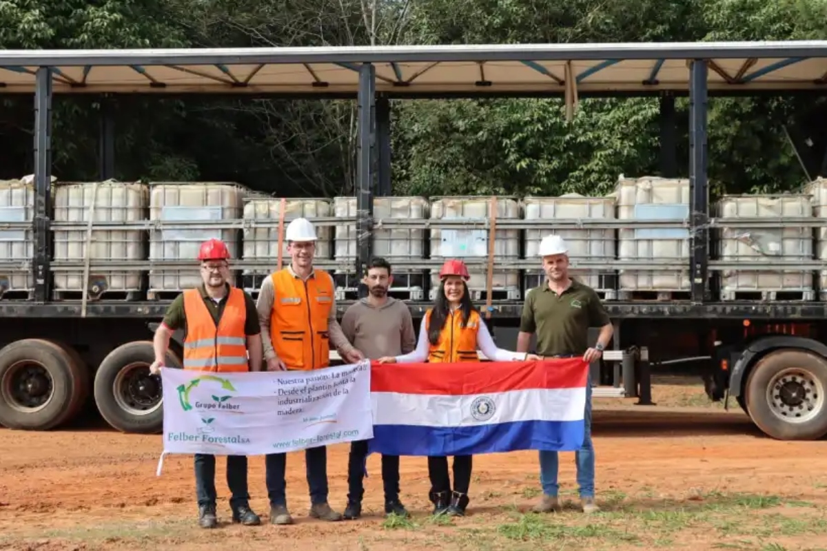 Resina de pino: Paraguay concreta su primer envío al mercado brasileño