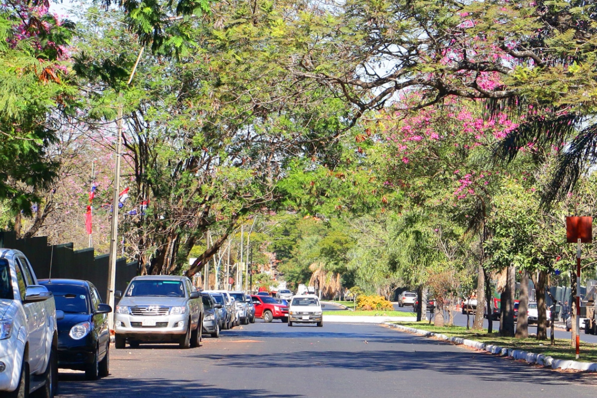 Meteorología prevé calor intenso y fuertes vientos