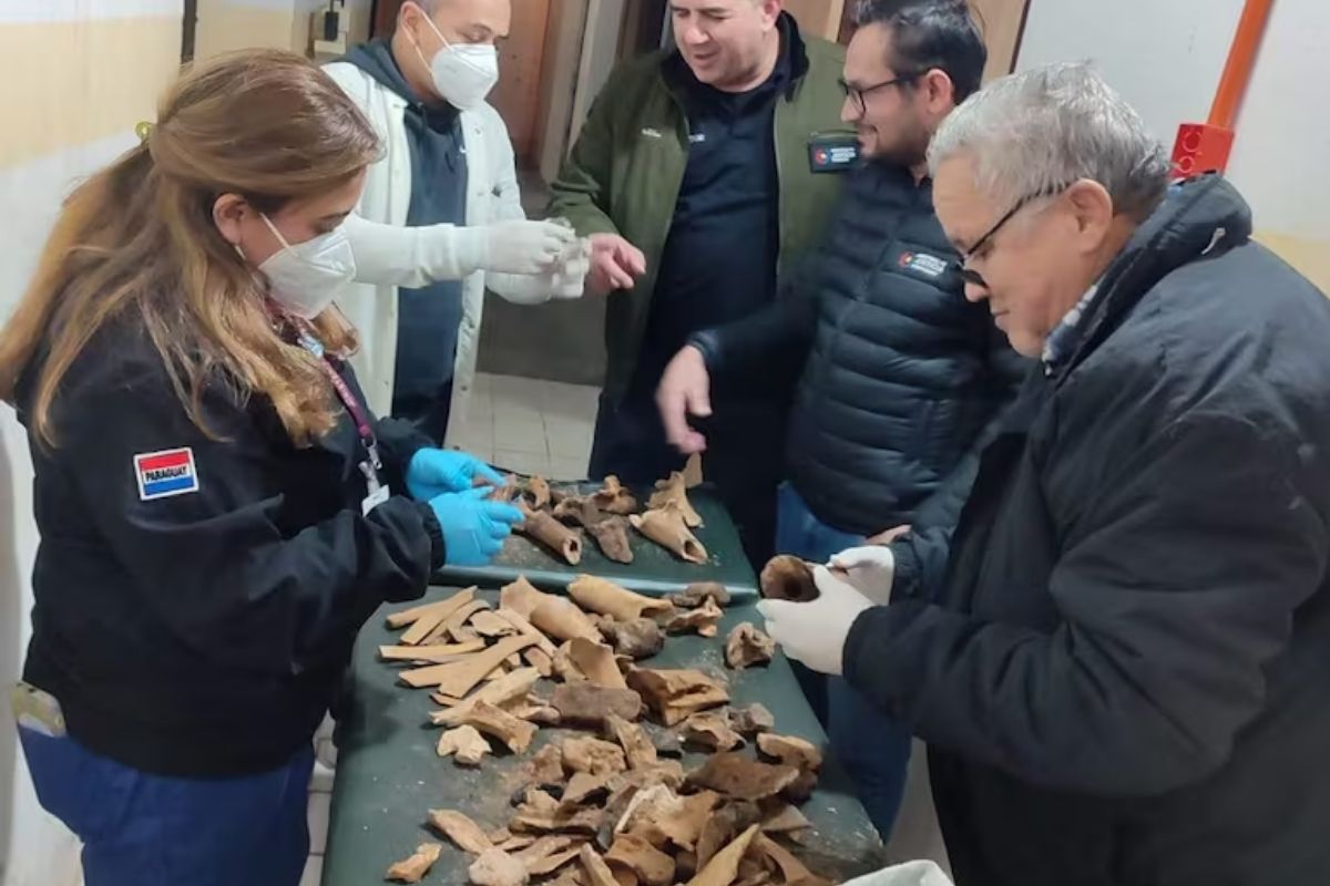 Restos óseos en ex Tacumbú: así es el proceso de identificación forense