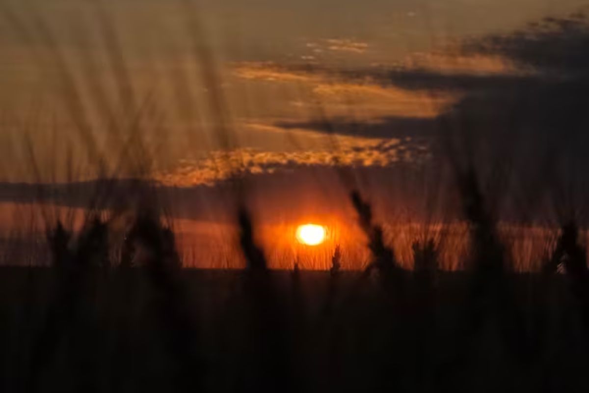 Aumento de temperatura y fuertes vientos marcarán el resto de la semana