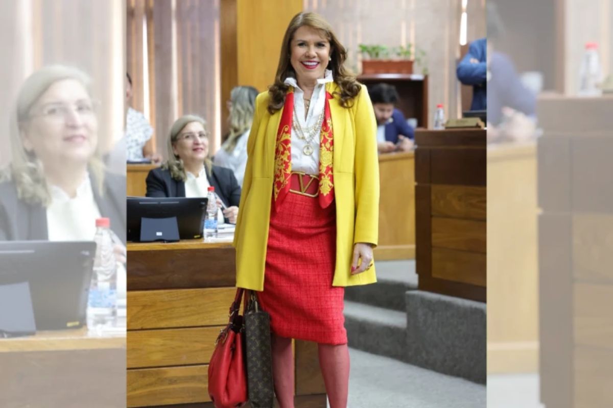 Celeste Amarilla asiste al Senado vestida con los colores de España