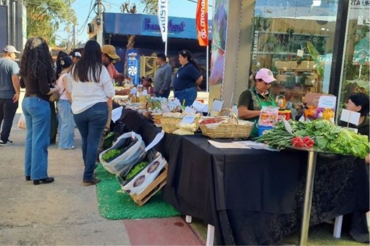 Feria de la Agricultura Familiar llega a la Expo 2026