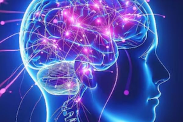 Día Mundial del Cerebro y las claves para cuidarlo