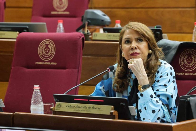 Celeste Amarilla atribuye avance del EPP y narcos al abandono del campo
