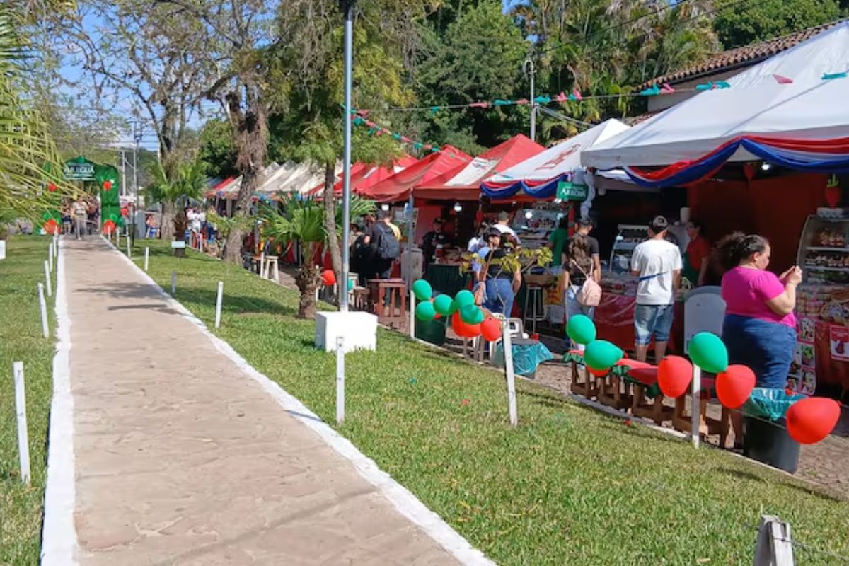 Expo Frutilla 2026 abre sus puertas en Areguá con productos artesanales