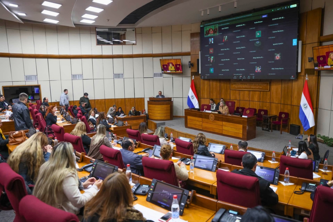 Audiencia pública debatió el proyecto de divorcio exprés