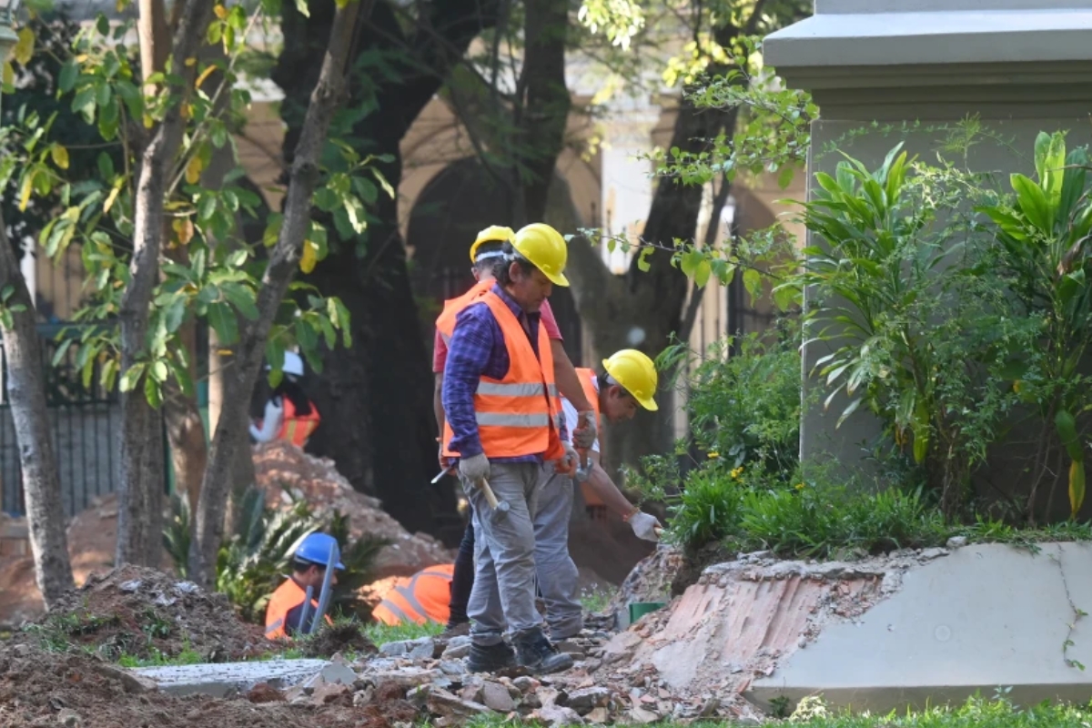Municipalidad confirma tala de 22 árboles en la Plaza Uruguaya