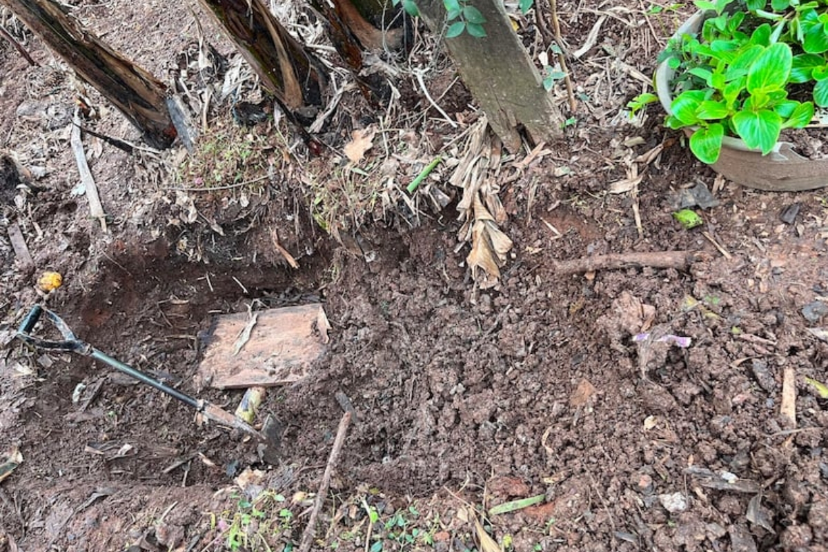 Autopsia revela causa de muerte de adolescente en Caazapá